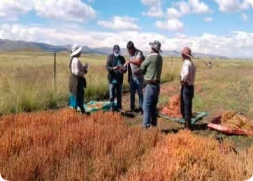 Agencia Agraria Lampa