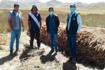 Agencia Agraria Lampa
