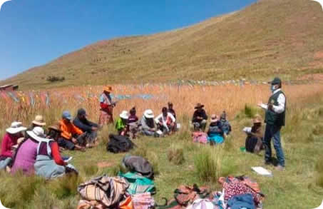 Agencia Agraria Lampa