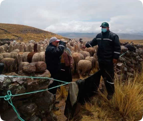 Agencia Agraria Lampa