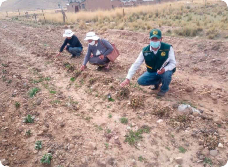 Agencia Agraria Lampa