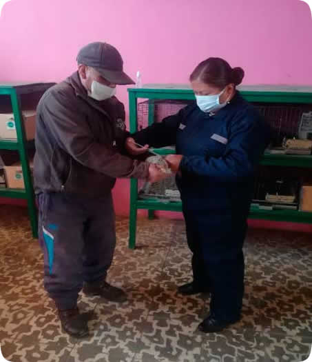 Agencia Agraria Lampa