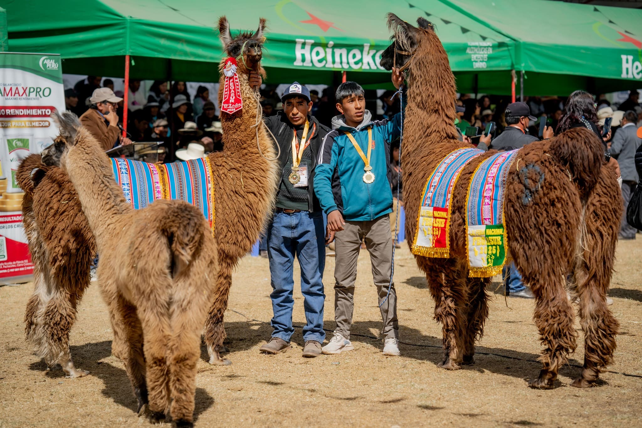 CLAUSURA EXITOSA DE FEGASUR 2025 EN JULIACA