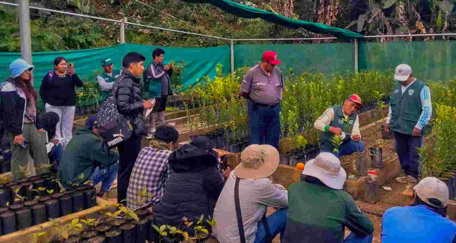 UNIVERSITARIOS VISITAN VIVERO PAJCHANI PARA FORTALECER CONOCIMIENTOS EN CULTIVOS FRUTALES