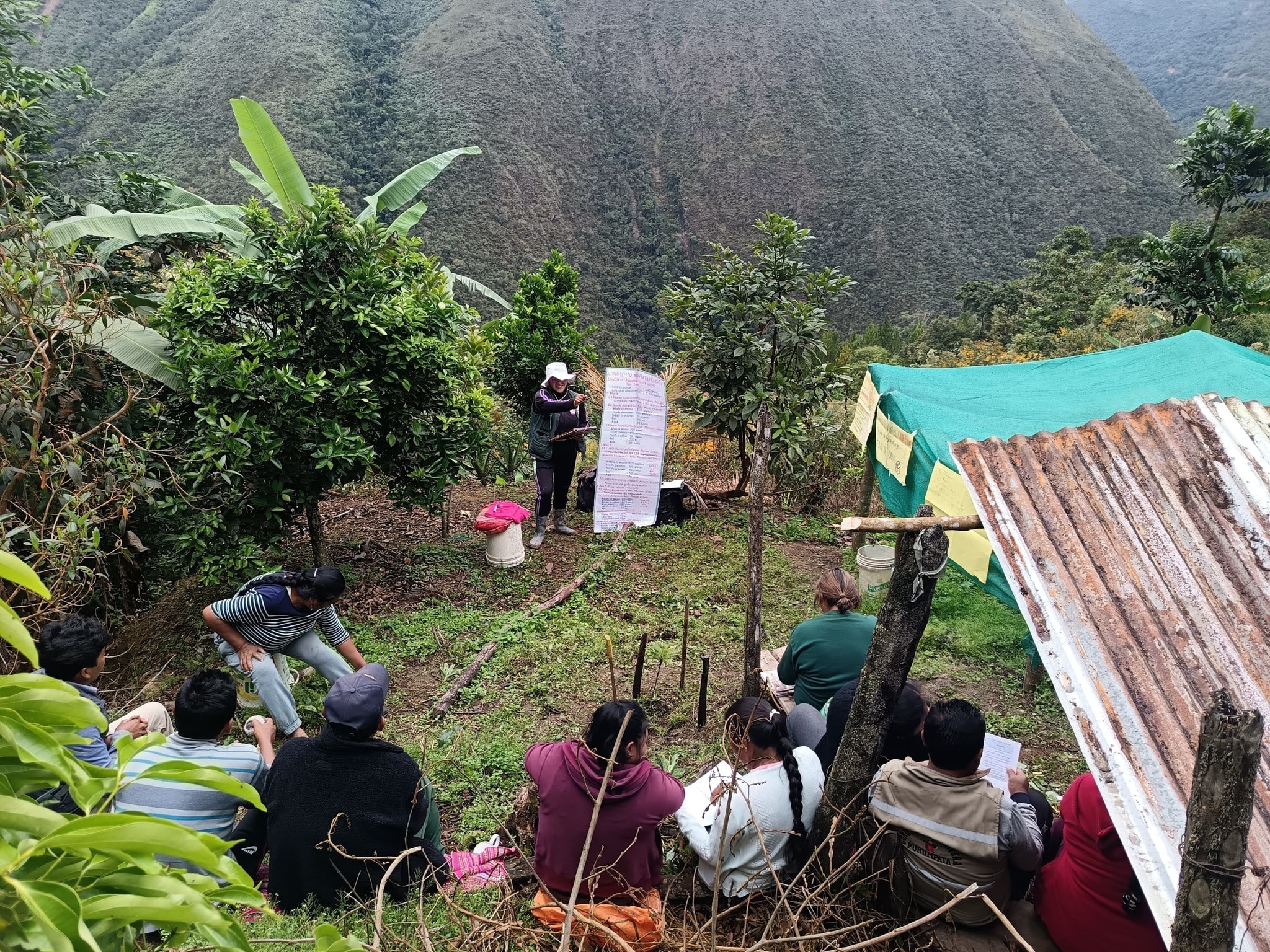 FORTALECEN EL CULTIVO DE PALTO EN YANAHUAYA