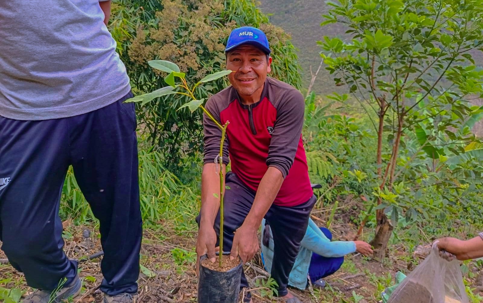 INSTALAN CULTIVOS FRUTÍCOLAS EN ESCUELA DE CAMPO CATARANI DE YANAHUAYA