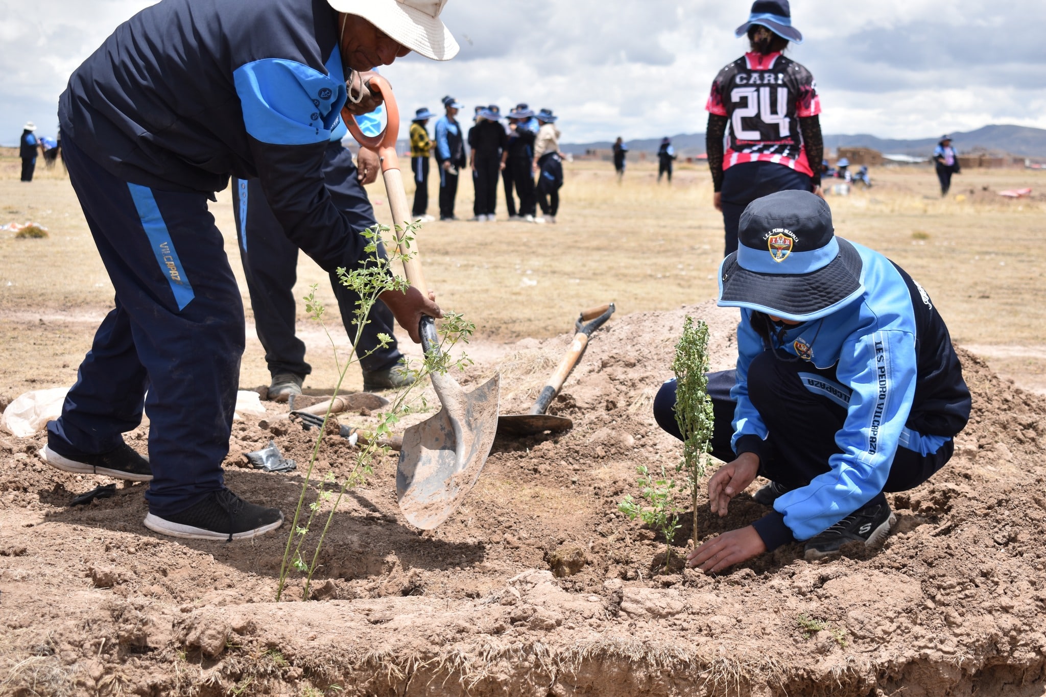 PLANTACION DE 3 MIL ARBOLITOS REALIZO LA GERENCIA REGIONAL DE DESARROLLO AGRARIO