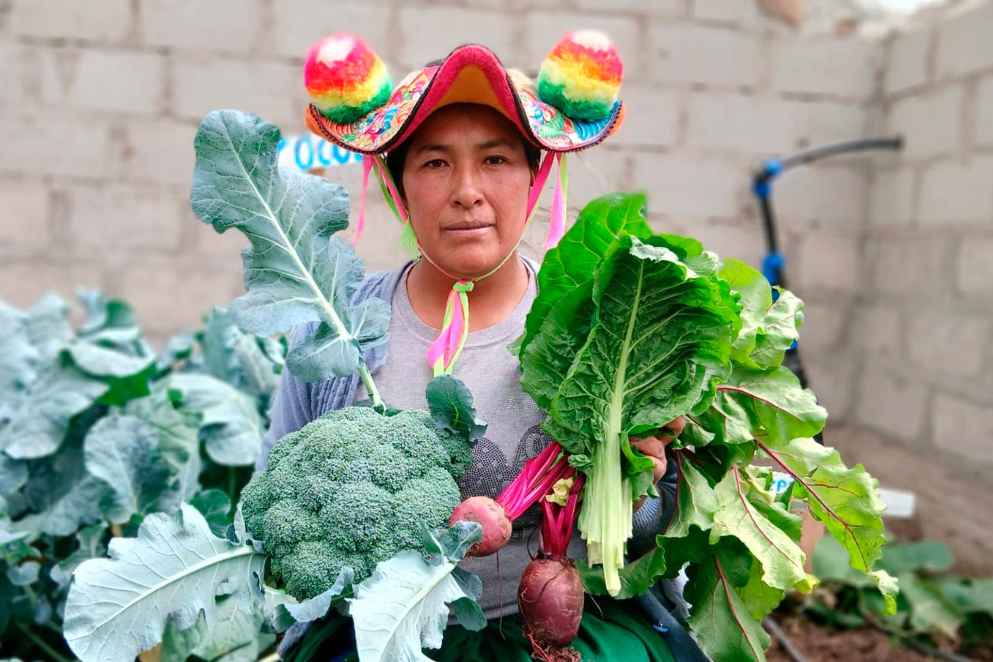 IMPULSAMOS EL DESARROLLO PRODUCTIVO FAMILIAR EN COATA CON ENTREGA DE INCENTIVOS